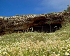Apertura della Grotta Porcinara (Punta Ristola presso Santa Maria di Leuca). Foto M. Cavalera.
