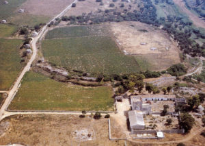  veduta aerea dell'insediamento de La Chiusa (Descoeudres, Robinson 1993, p. 78)