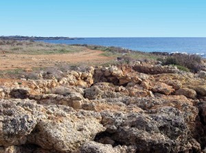 ruderi delle strutture murarie visti da nord