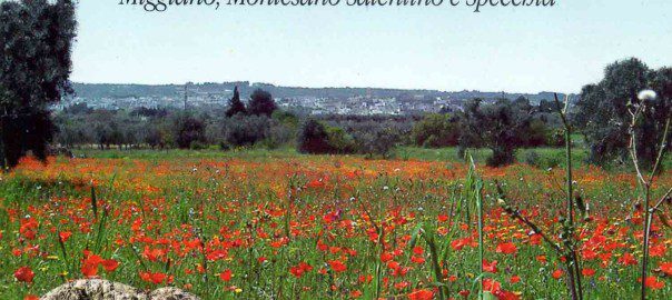 MEDIANUM – Ricerche archeologiche nel territorio di Miggiano, Montesano Salentino e Specchia