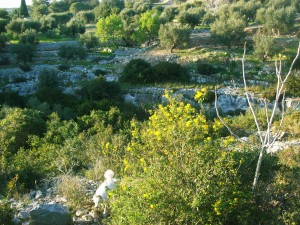 Paesaggio di pietra di Torre Vado 