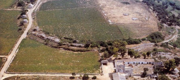 La “Chiusa” presso la Masseria Fano: un sito messapico nel territorio di Salve