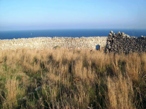 pianoro in località Monte Lagnune (Gagliano del Capo) 