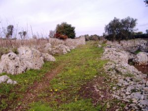 fig-6-strada-rurale-che-fiancheggia-a-nord-est-il-sito-di-cellini